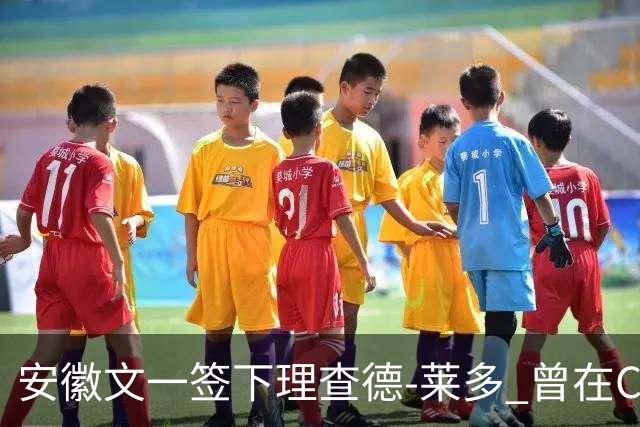 安徽文一签下理查德-莱多 曾在CBA单场砍54+15